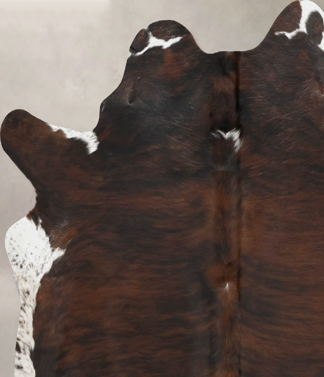 Tricolor X-Large Brazilian Cowhide Rug 7'4"H x 6'1"W #B16462 by Hudson