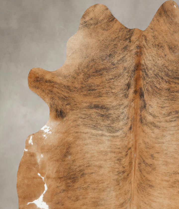 Medium Brindle XX-Large Brazilian Cowhide Rug 8'8"H x 7'3"W #B16489 by Hudson Hides