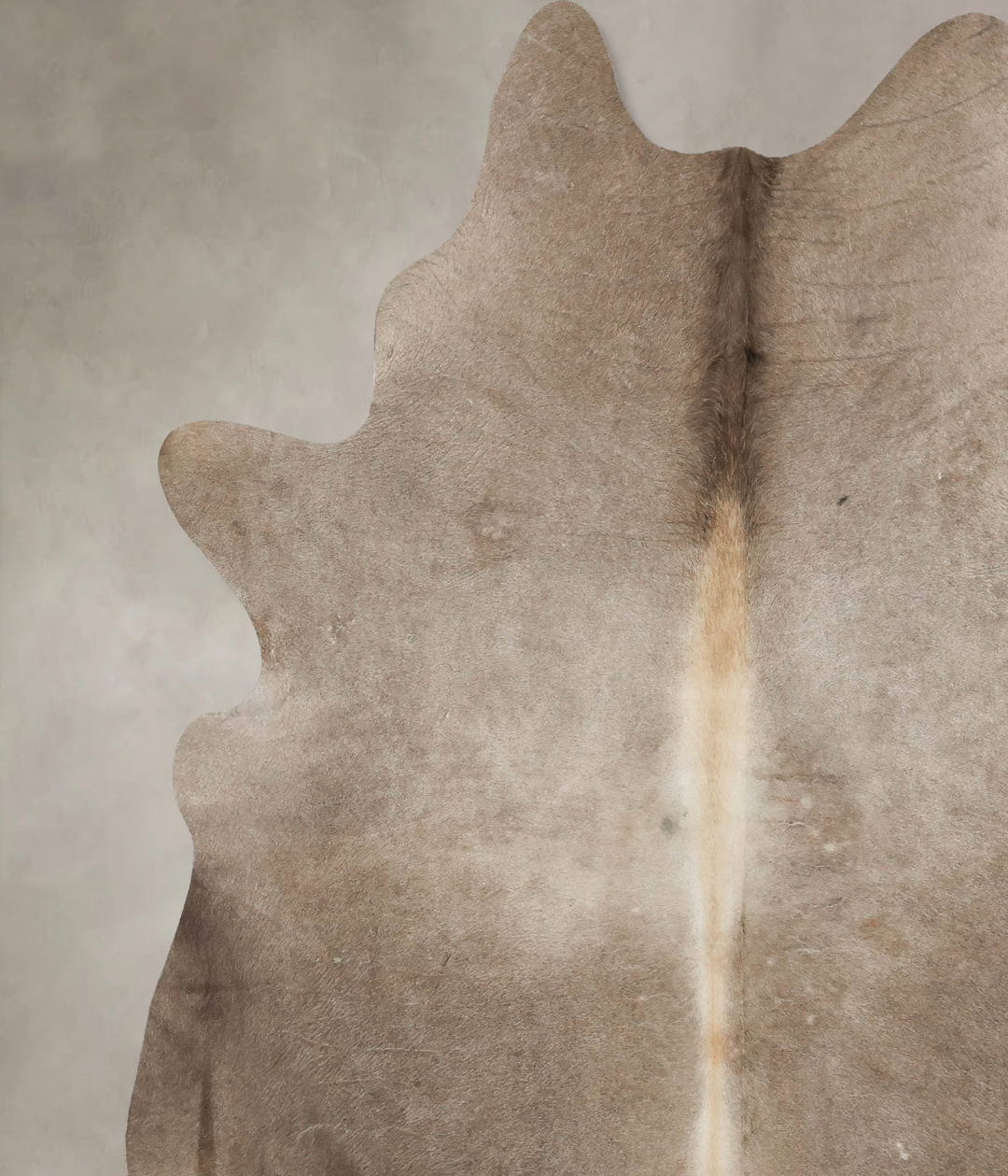Taupe XX-Large Brazilian Cowhide Rug 8'4"H x 6'11"W #B16496 by Hudson 