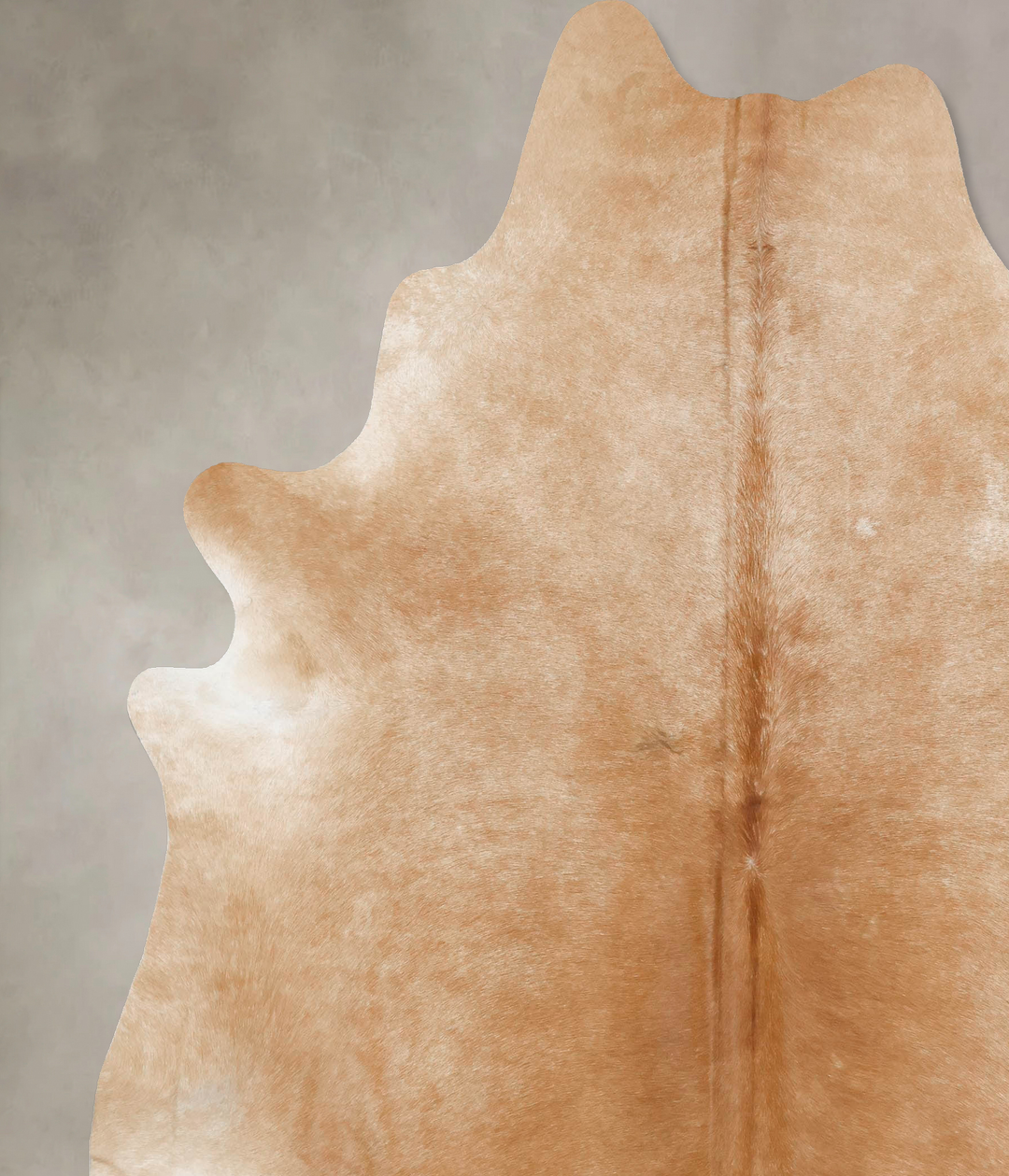 Beige XX-Large Brazilian Cowhide Rug 8'3"H x 7'0"W #B16498 by Hudson H