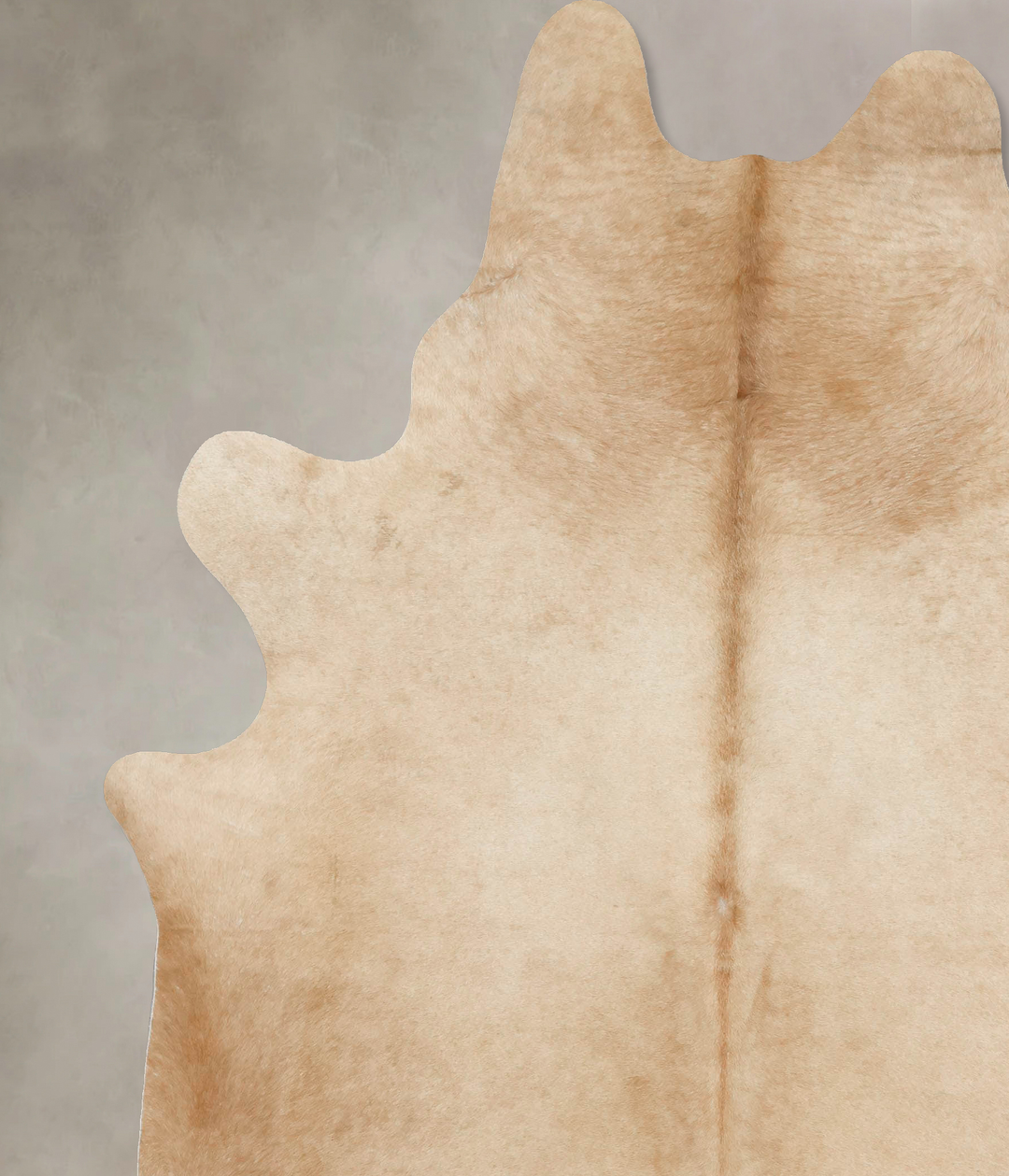 Palomino XX-Large Brazilian Cowhide Rug 8'8"H x 7'1"W #B16505 by Hudso