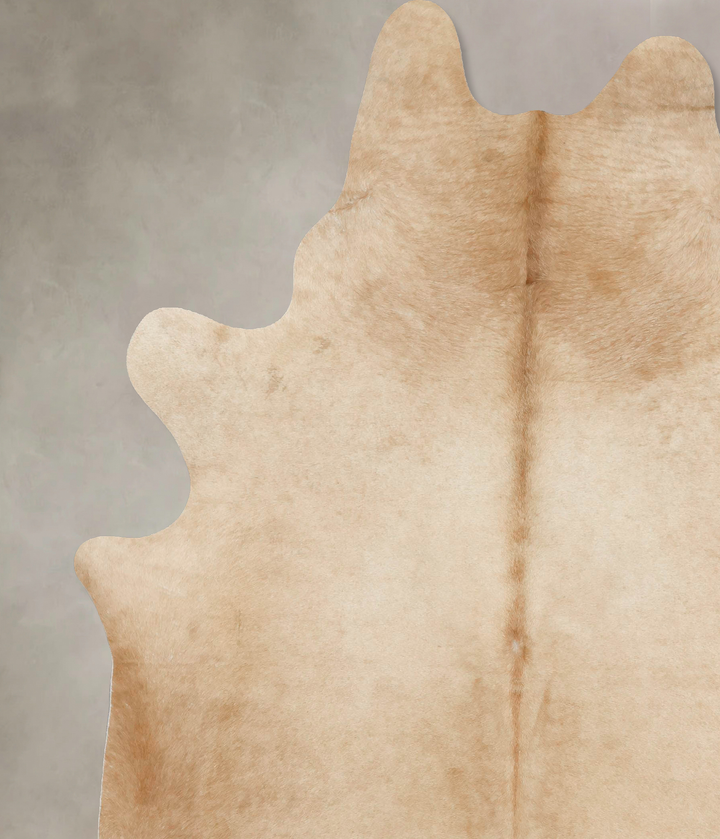 Palomino XX-Large Brazilian Cowhide Rug 8'8"H x 7'1"W #B16505 by Hudson Hides