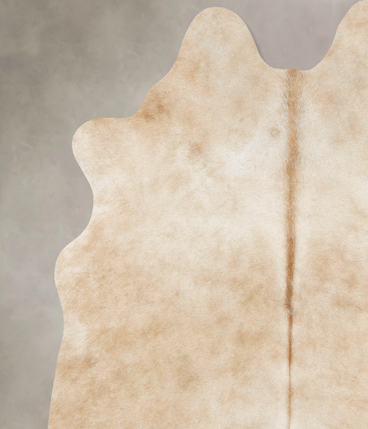 Palomino Medium Brazilian Cowhide Rug 5'10"H x 5'0"W #B16511 by Hudson Hides