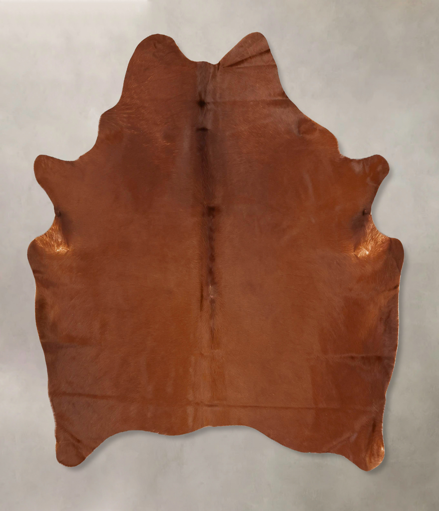 Solid Brown X-Large Brazilian Cowhide Rug 6'9"H x 6'1"W #B16517 by Hudson Hides