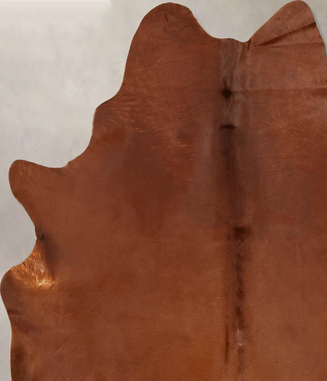 Solid Brown X-Large Brazilian Cowhide Rug 6'9"H x 6'1"W #B16517 by Hud