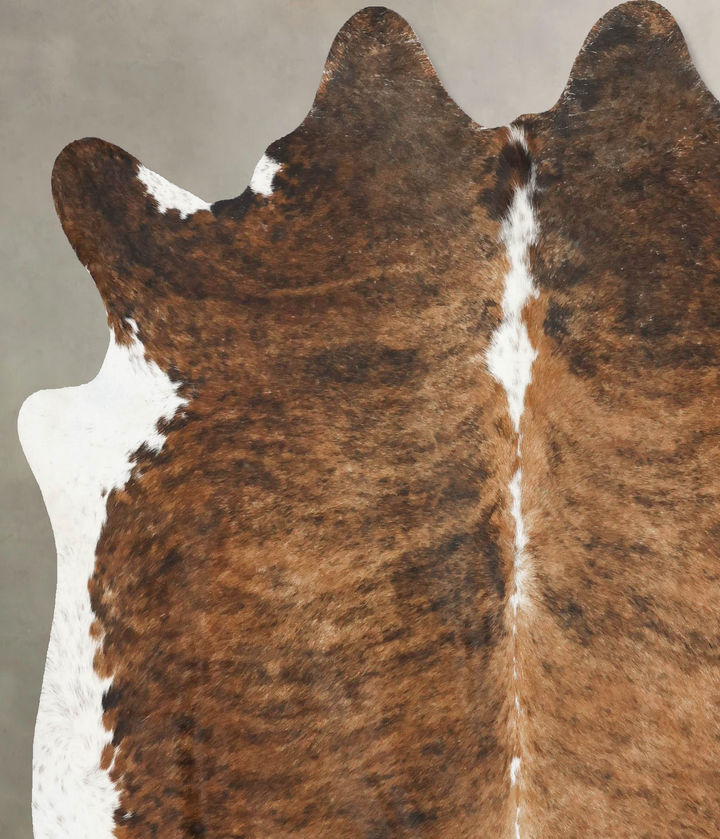 Medium Brindle X-Large Brazilian Cowhide Rug 6'10"H x 6'2"W #B16519 by Hudson Hides