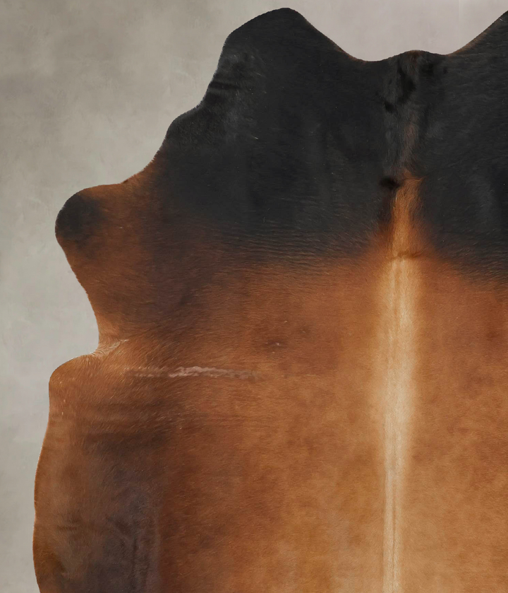 Warm Caramel X-Large Brazilian Cowhide Rug 7'3"H x 5'10"W #B16521 by Hudson Hides