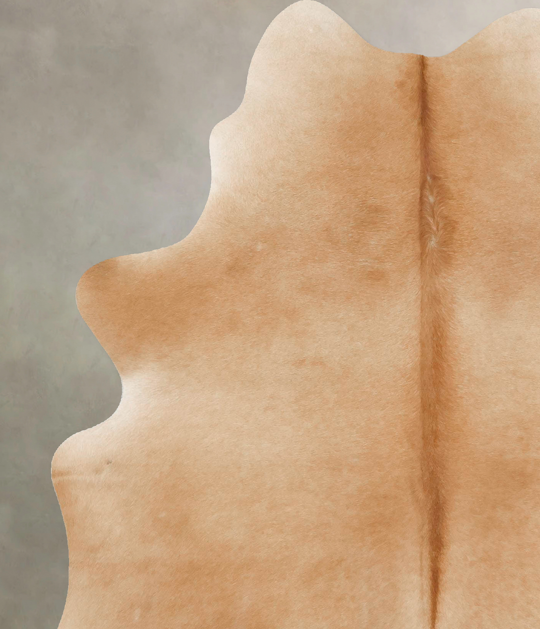 Beige X-Large Brazilian Cowhide Rug 7'3"H x 5'6"W #B16523 by Hudson Hi