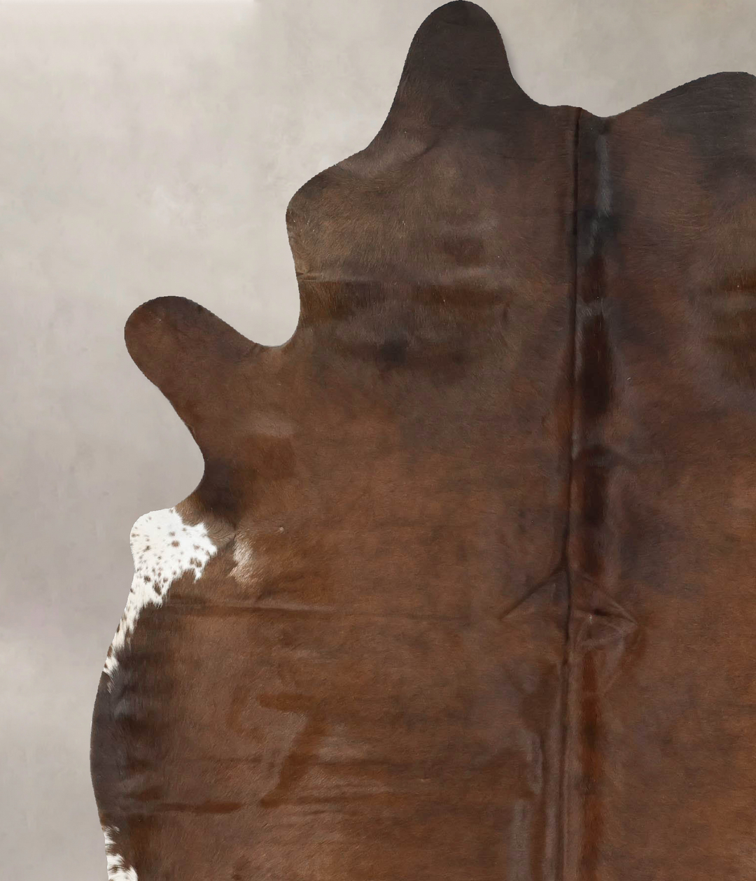 Chocolate X-Large Brazilian Cowhide Rug 7'6"H x 6'0"W #B16535 by Hudso