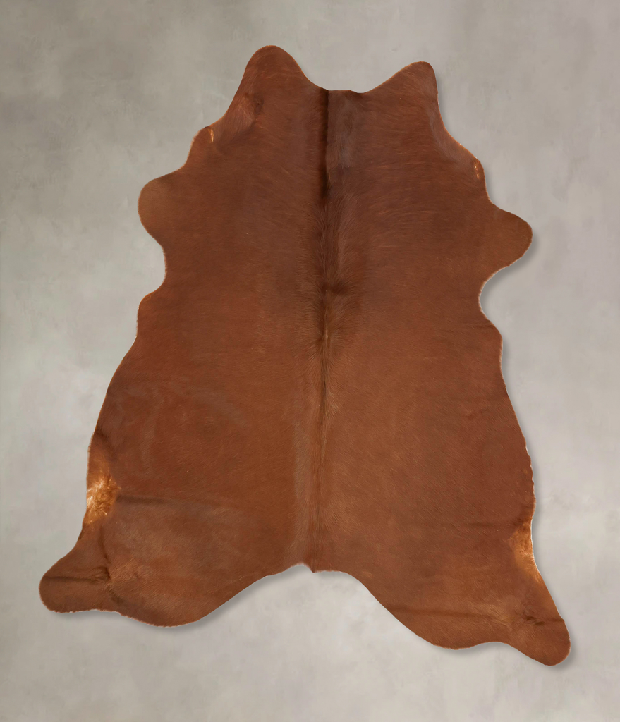 Solid Brown X-Large Brazilian Cowhide Rug 6'10"H x 6'2"W #B16540 by Hudson Hides