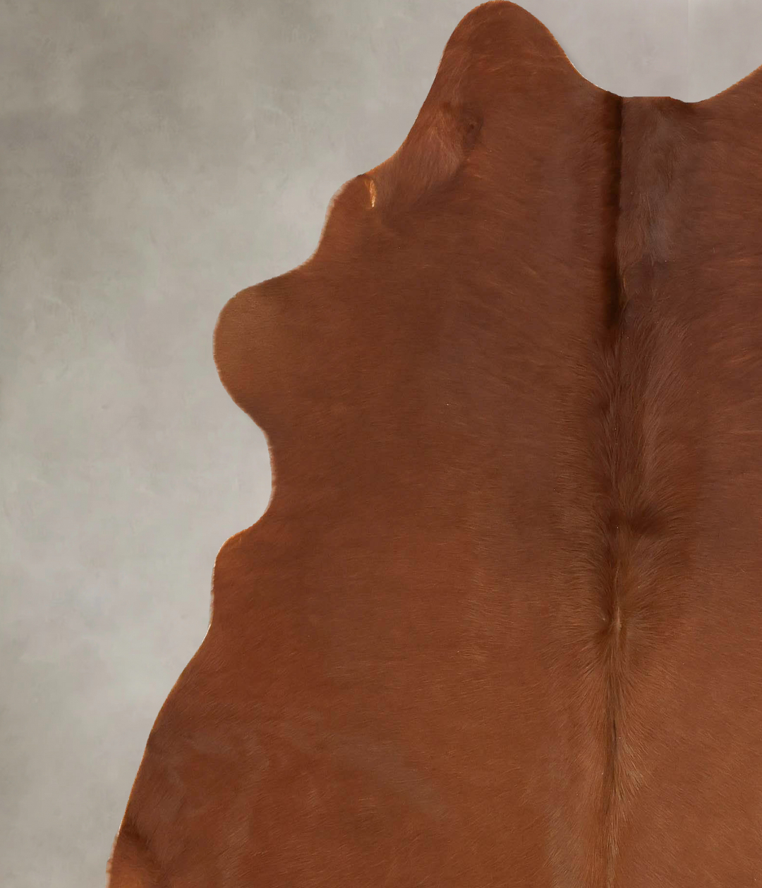 Solid Brown X-Large Brazilian Cowhide Rug 6'10"H x 6'2"W #B16540 by Hu