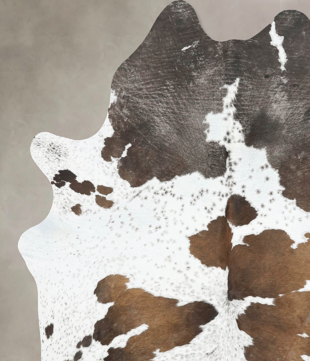 Chocolate and White X-Large Brazilian Cowhide Rug 7'4"H x 6'3"W #B1654