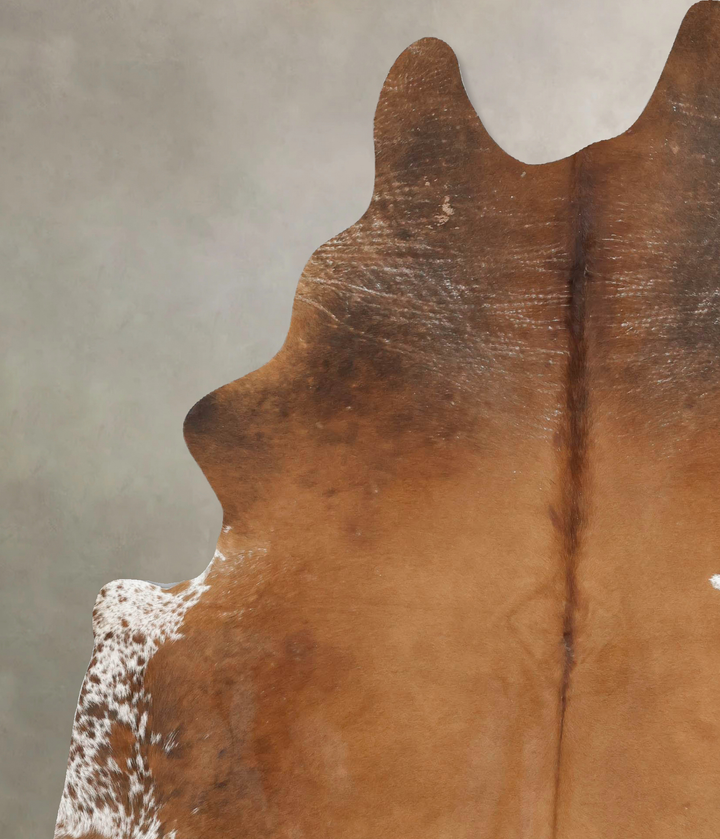Warm Caramel XX-Large Brazilian Cowhide Rug 7'11"H x 6'6"W #B16551 by Hudson Hides