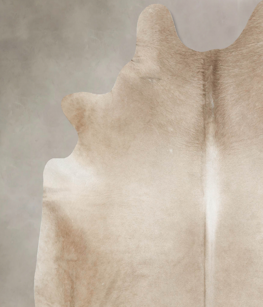 Taupe XX-Large Brazilian Cowhide Rug 7'9"H x 6'10"W #B16554 by Hudson 