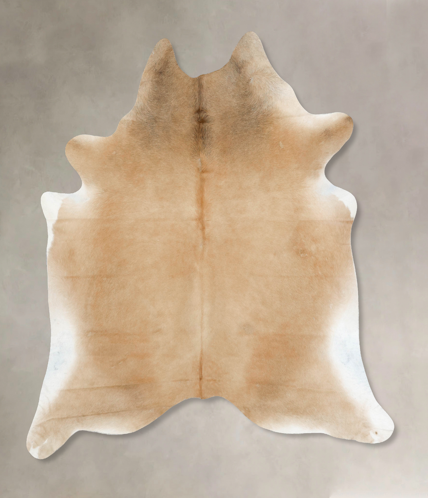 Palomino XX-Large Brazilian Cowhide Rug 8'1"H x 7'1"W #B16557 by Hudson Hides
