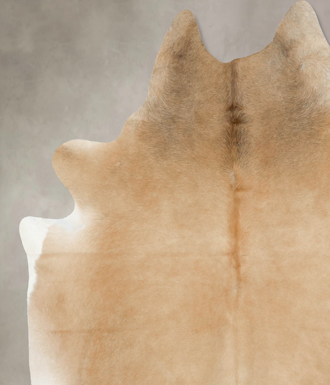 Palomino XX-Large Brazilian Cowhide Rug 8'1"H x 7'1"W #B16557 by Hudso