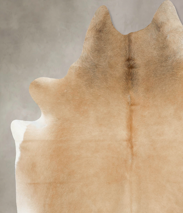 Palomino XX-Large Brazilian Cowhide Rug 8'1"H x 7'1"W #B16557 by Hudson Hides