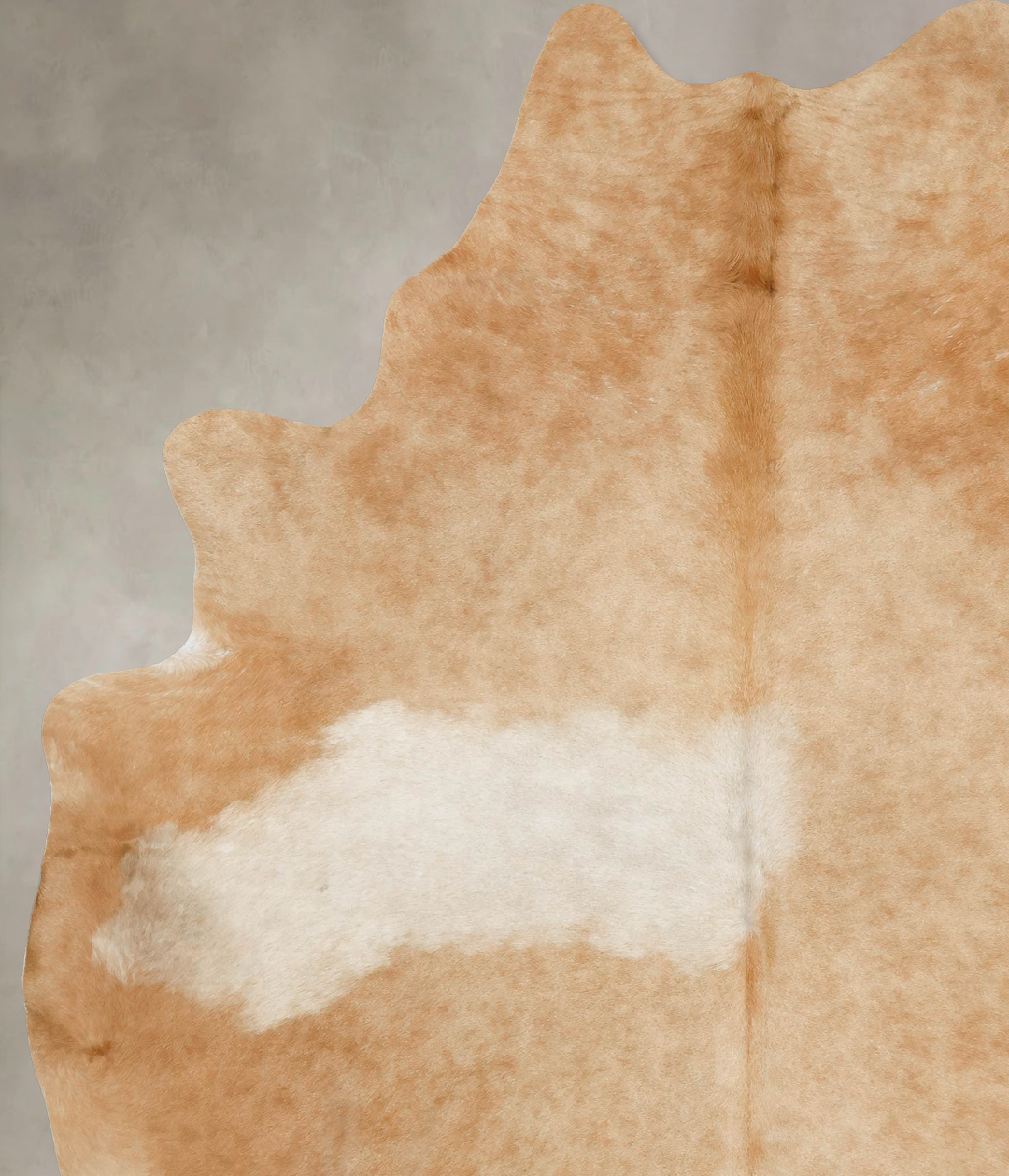 Beige XX-Large Brazilian Cowhide Rug 8'6"H x 6'10"W #B16563 by Hudson 