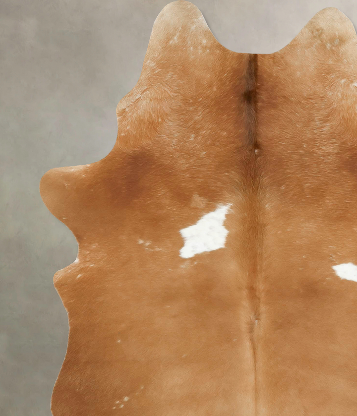 Brown and White Regular X-Large Brazilian Cowhide Rug 7'11"H x 5'9"W #B16575 by Hudson Hides