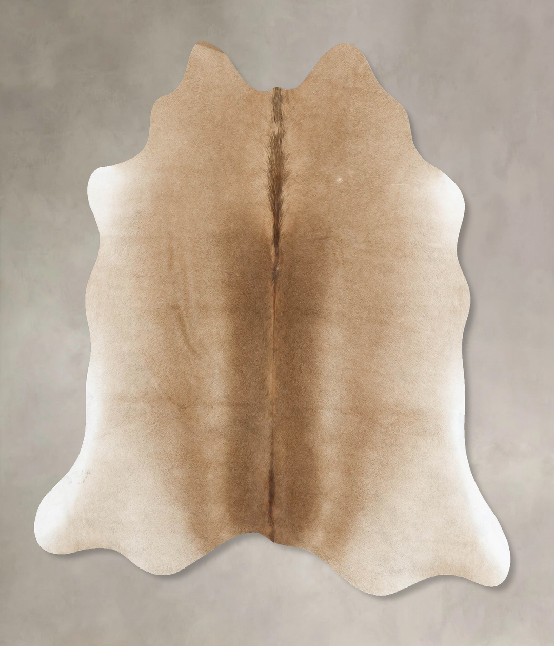Taupe Large Brazilian Cowhide Rug 5'4"H x 5'8"W #B16583 by Hudson Hide