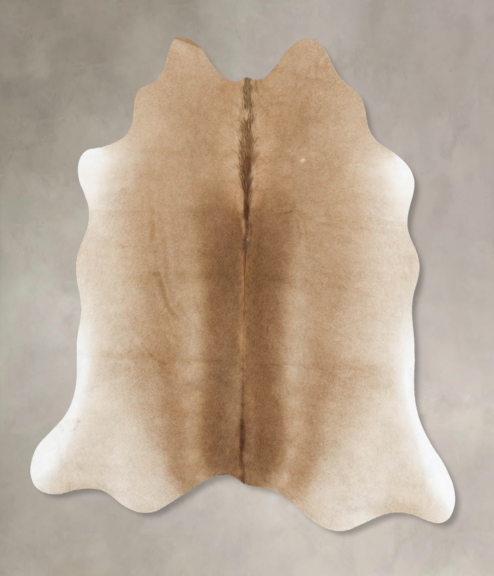 Taupe Large Brazilian Cowhide Rug 5'4"H x 5'8"W #B16583 by Hudson Hides