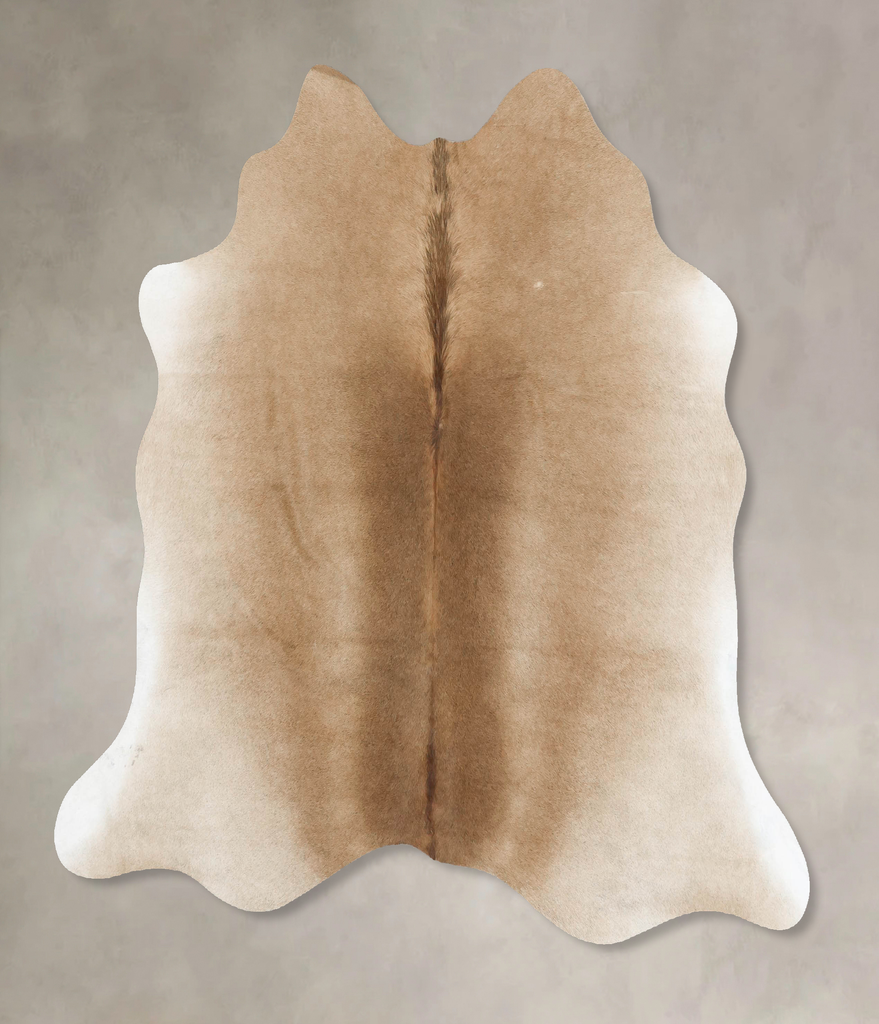 Taupe Large Brazilian Cowhide Rug 5'4"H x 5'8"W #B16583 by Hudson Hides