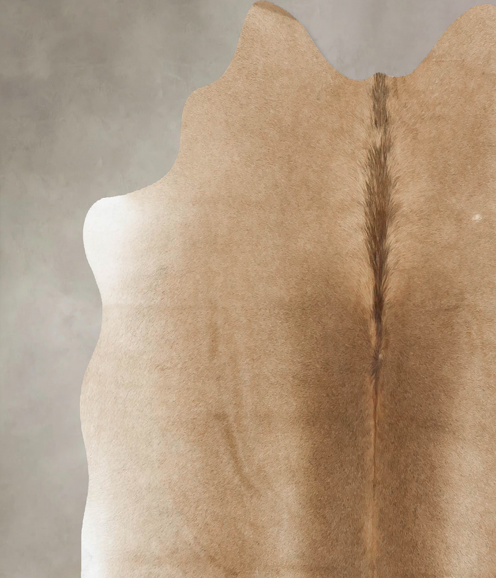 Taupe Large Brazilian Cowhide Rug 5'4"H x 5'8"W #B16583 by Hudson Hides