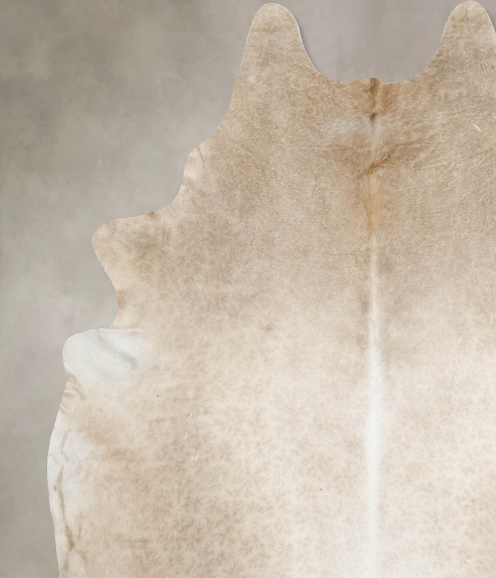 Palomino XX-Large Brazilian Cowhide Rug 8'11"H x 7'6"W #B16586 by Hudson Hides