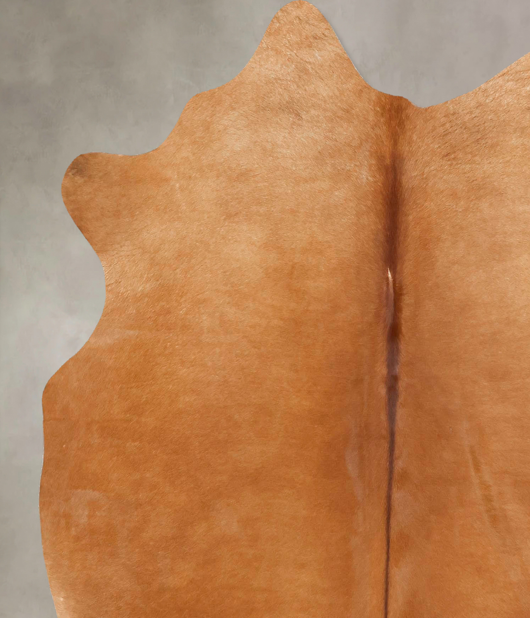 Beige Large Brazilian Cowhide Rug 6'2"H x 5'10"W #B16610 by Hudson Hid