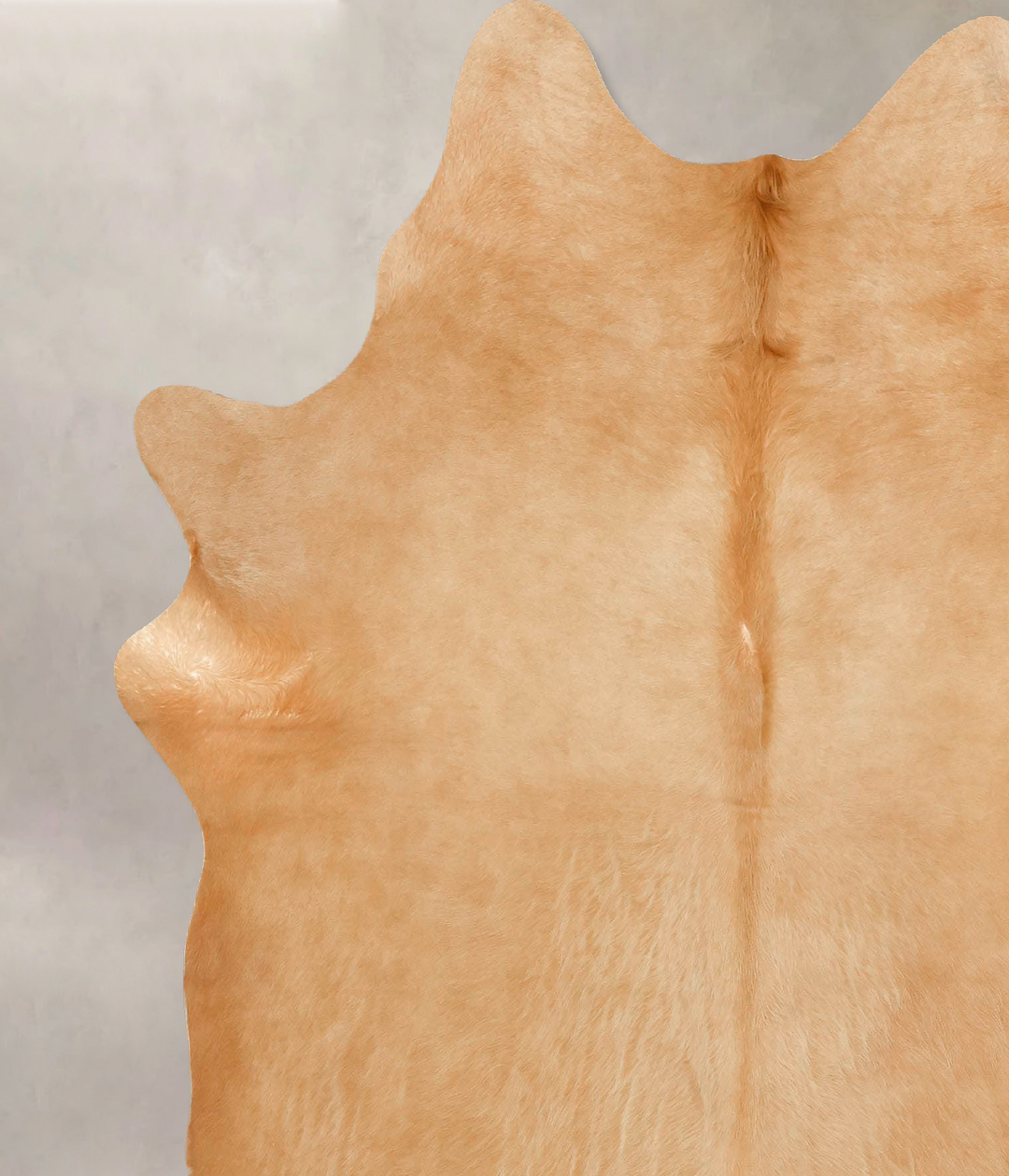 Beige X-Large Brazilian Cowhide Rug 7'1"H x 5'11"W #B16611 by Hudson H