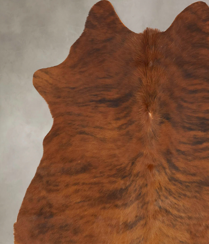 Medium Brindle X-Large Brazilian Cowhide Rug 6'8"H x 6'1"W #B16613 by Hudson Hides
