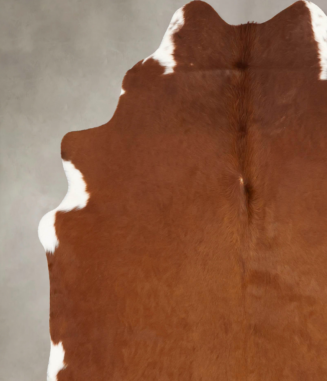 Brown and White Regular X-Large Brazilian Cowhide Rug 6'11"H x 6'3"W #