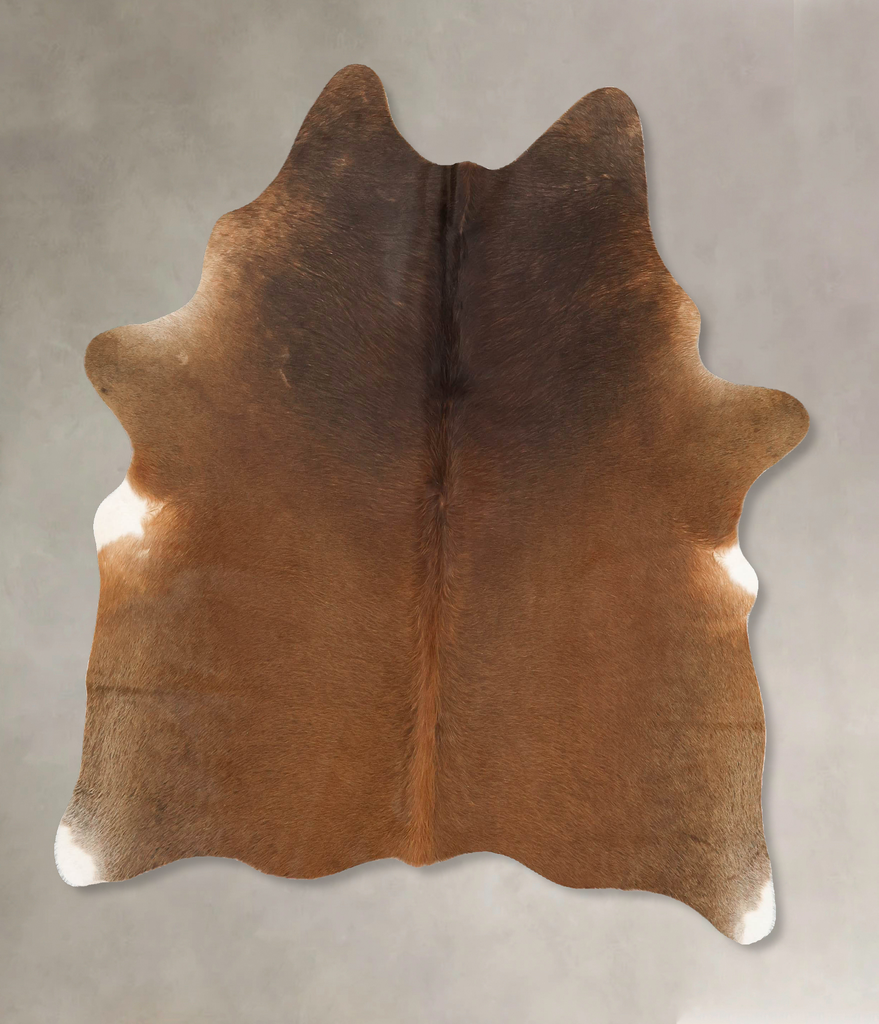 Warm Caramel Large Brazilian Cowhide Rug 5'10"H x 5'6"W #B16615 by Hudson Hides