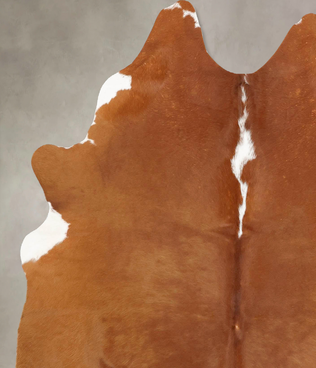 Brown and White Regular Large Brazilian Cowhide Rug 6'7"H x 5'6"W #B16