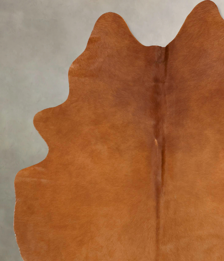 Solid Brown X-Large Brazilian Cowhide Rug 7'9"H x 5'8"W #B16619 by Hudson Hides
