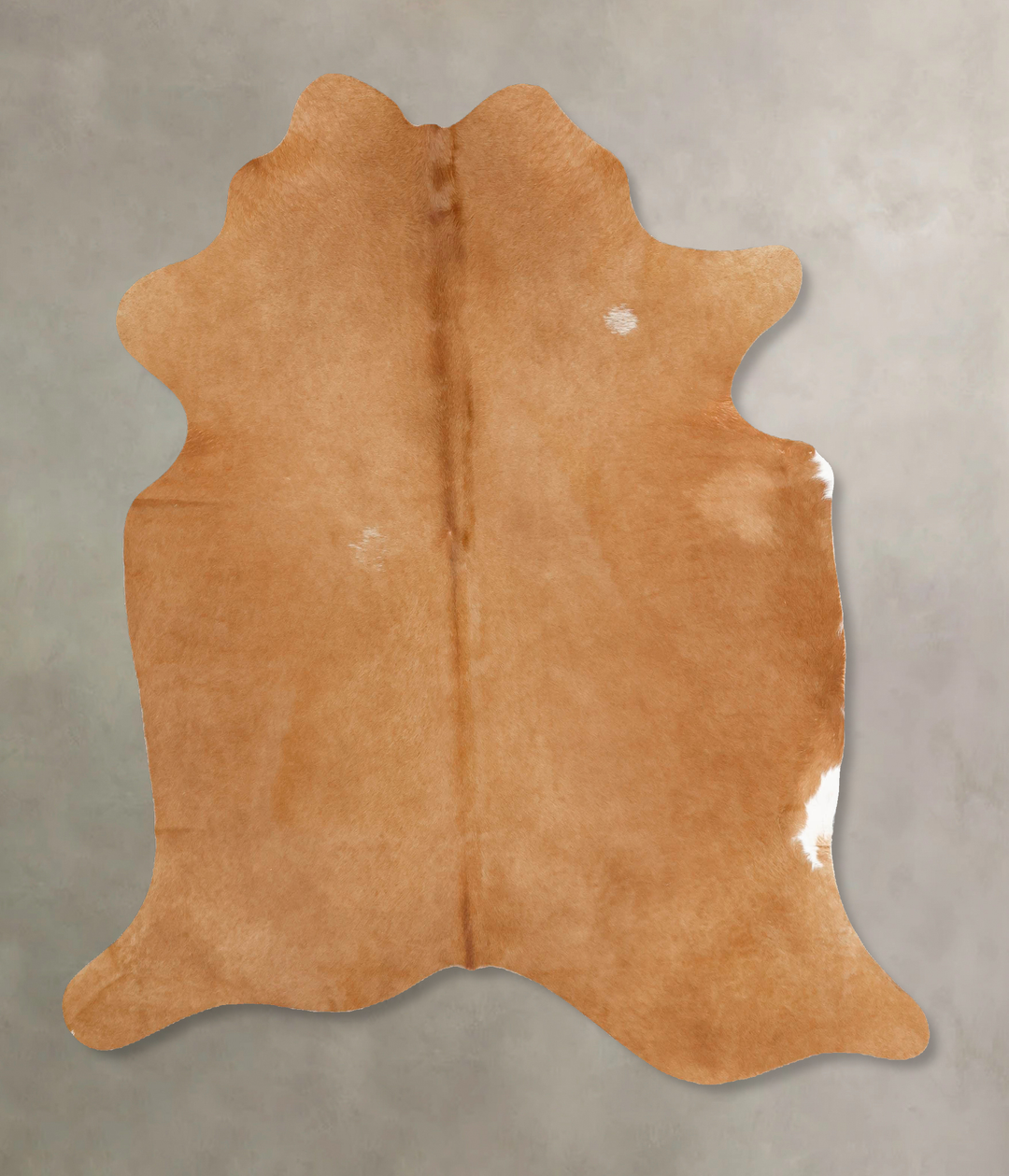 Beige Large Brazilian Cowhide Rug 6'6"H x 6'0"W #B16621 by Hudson Hide