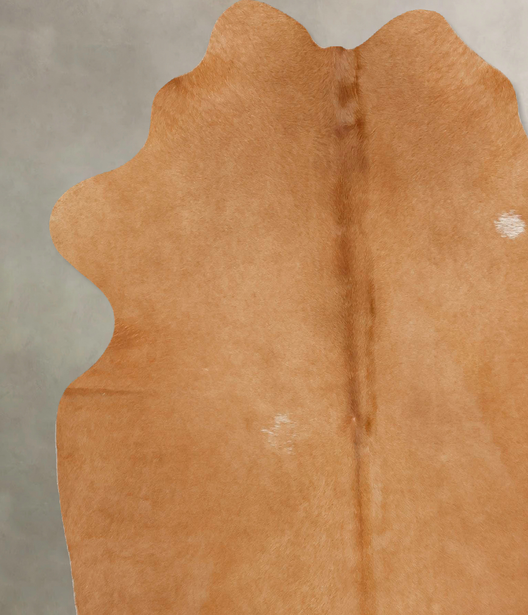 Beige Large Brazilian Cowhide Rug 6'6"H x 6'0"W #B16621 by Hudson Hide