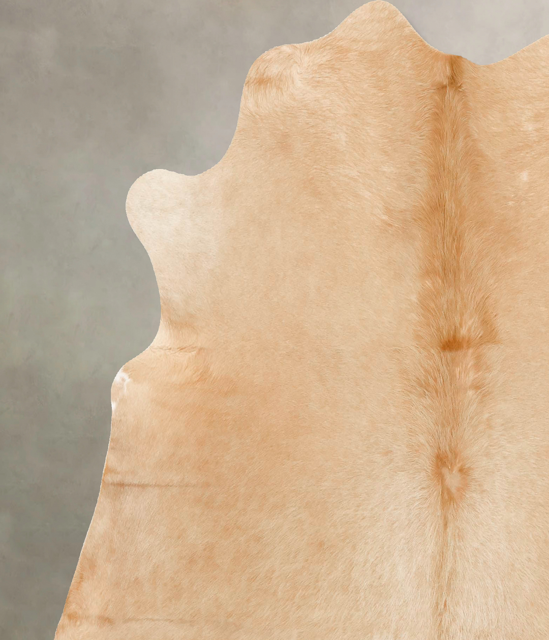 Palomino Large Brazilian Cowhide Rug 6'3"H x 6'1"W #B16628 by Hudson H