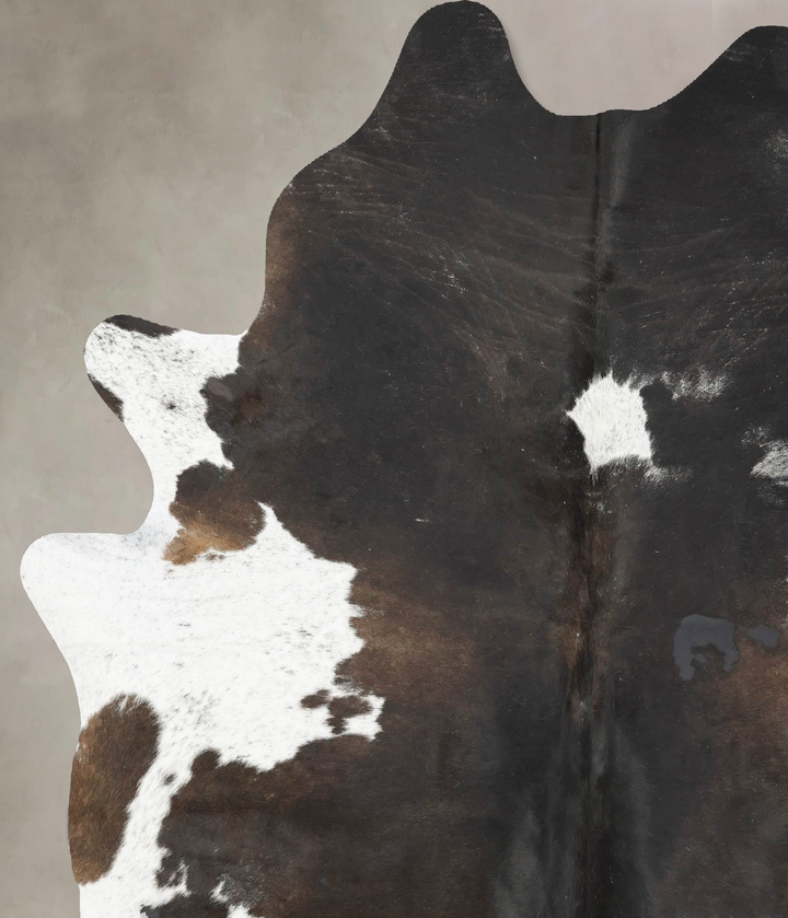 Chocolate and White XX-Large Brazilian Cowhide Rug 7'11"H x 6'4"W #B16630 by Hudson Hides