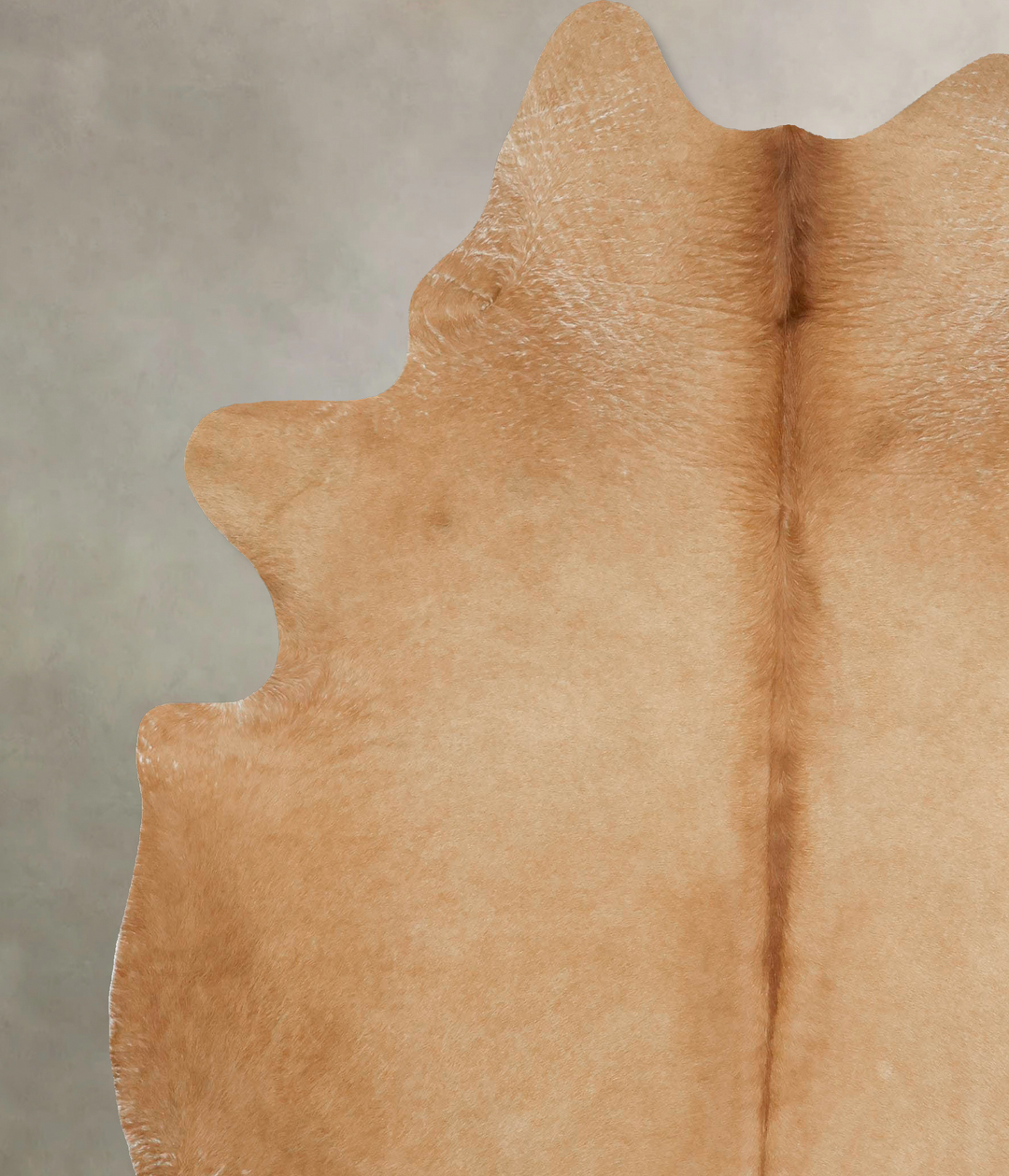 Beige XX-Large Brazilian Cowhide Rug 8'0"H x 6'11"W #B16636 by Hudson 