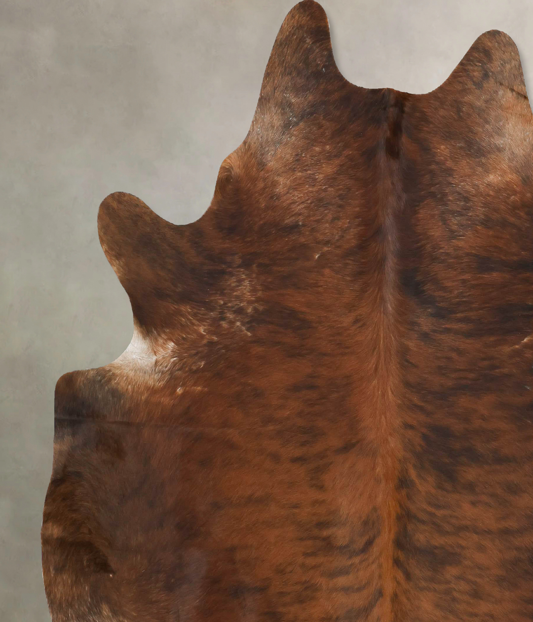 Dark Brindle XX-Large Brazilian Cowhide Rug 7'10"H x 7'2"W #B16646 by 