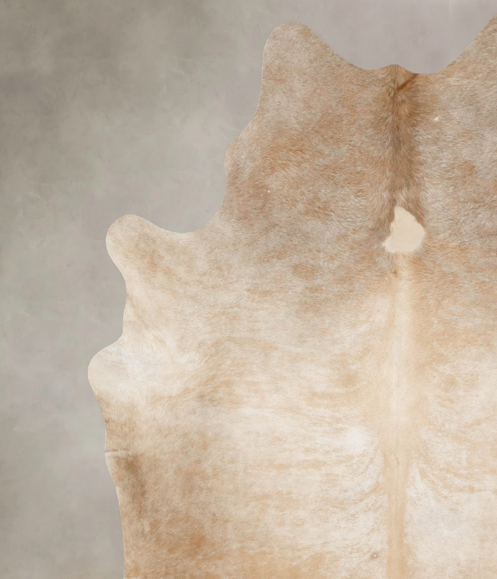 Light Caramel XX-Large Brazilian Cowhide Rug 7'8"H x 6'9"W #B16659 by Hudson Hides