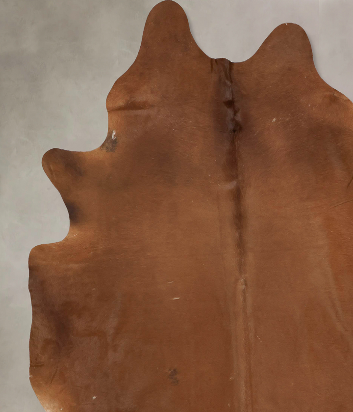 Solid Brown XX-Large Brazilian Cowhide Rug 9'4"H x 7'4"W #B16660 by Hudson Hides