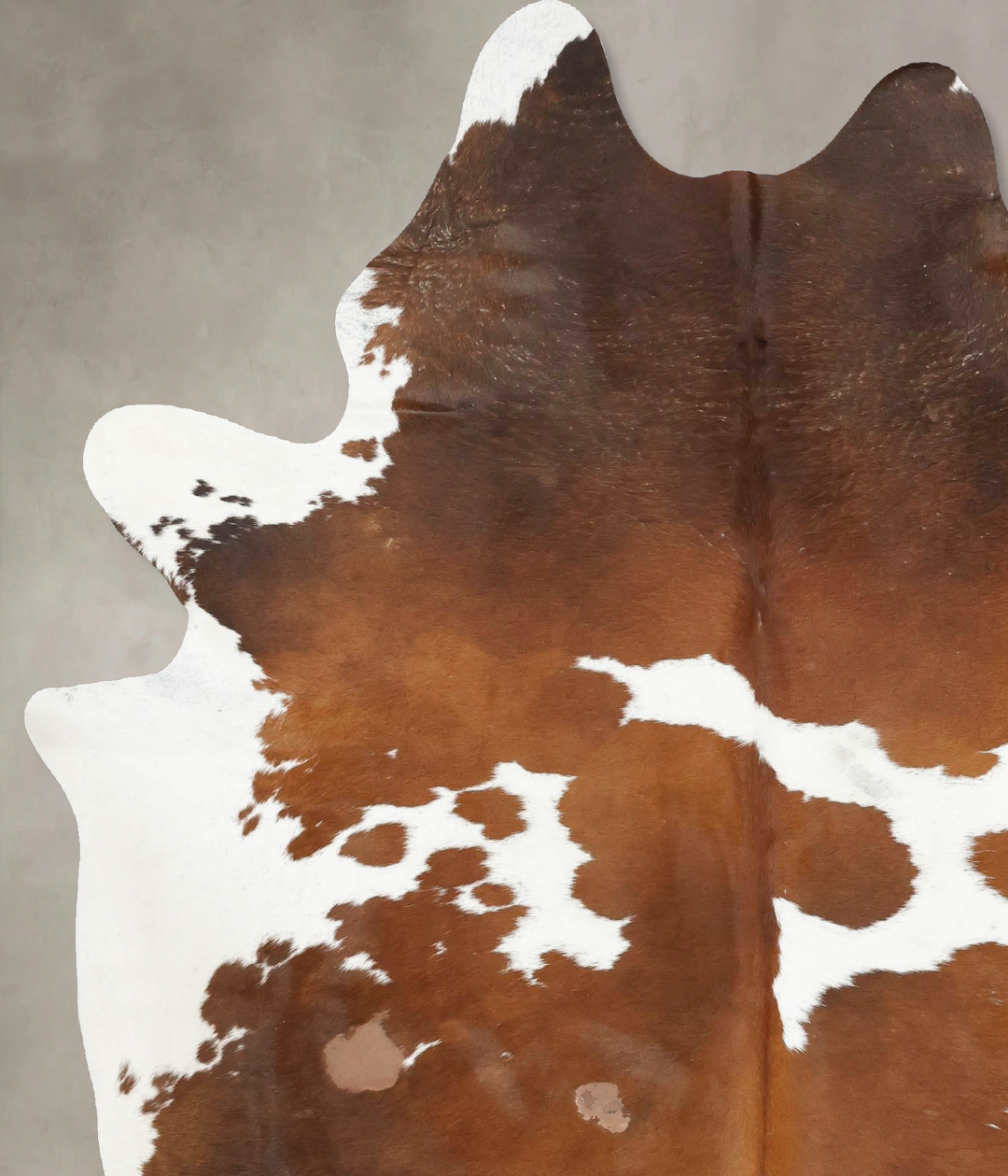 Chocolate and White X-Large Brazilian Cowhide Rug 7'10"H x 6'2"W #B166