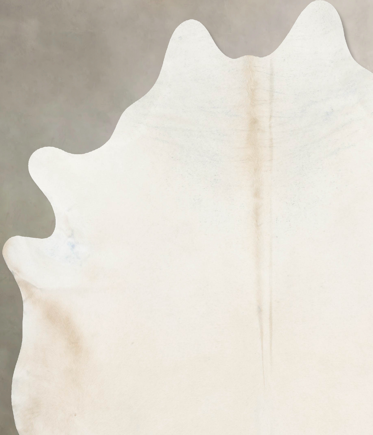 Ivory with Beige XX-Large Brazilian Cowhide Rug 8'1"H x 7'2"W #B16680 by Hudson Hides