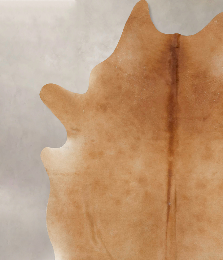 Beige XX-Large Brazilian Cowhide Rug 8'5"H x 7'5"W #B16716 by Hudson Hides