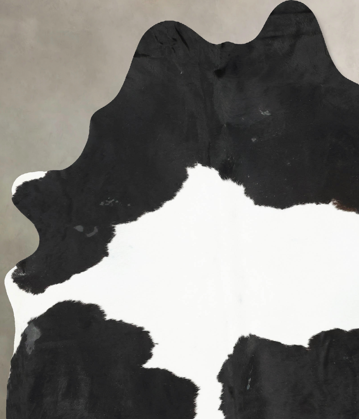 Black and White XX-Large Brazilian Cowhide Rug 8'4"H x 6'3"W #B16731 by Hudson Hides