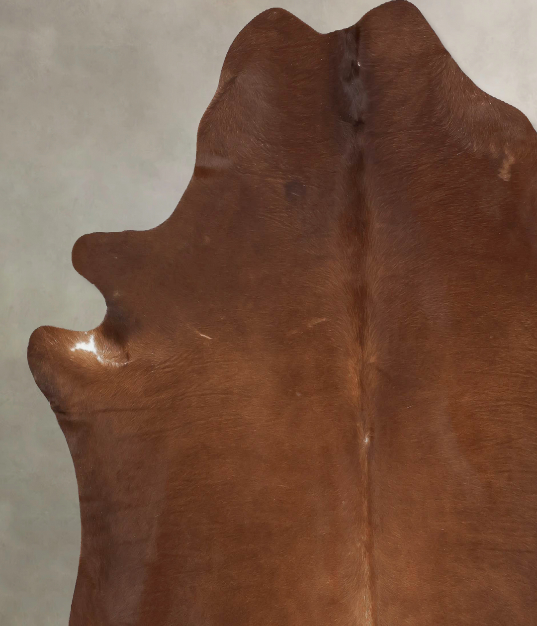 Solid Brown XX-Large Brazilian Cowhide Rug 7'9"H x 7'4"W #B16733 by Hu