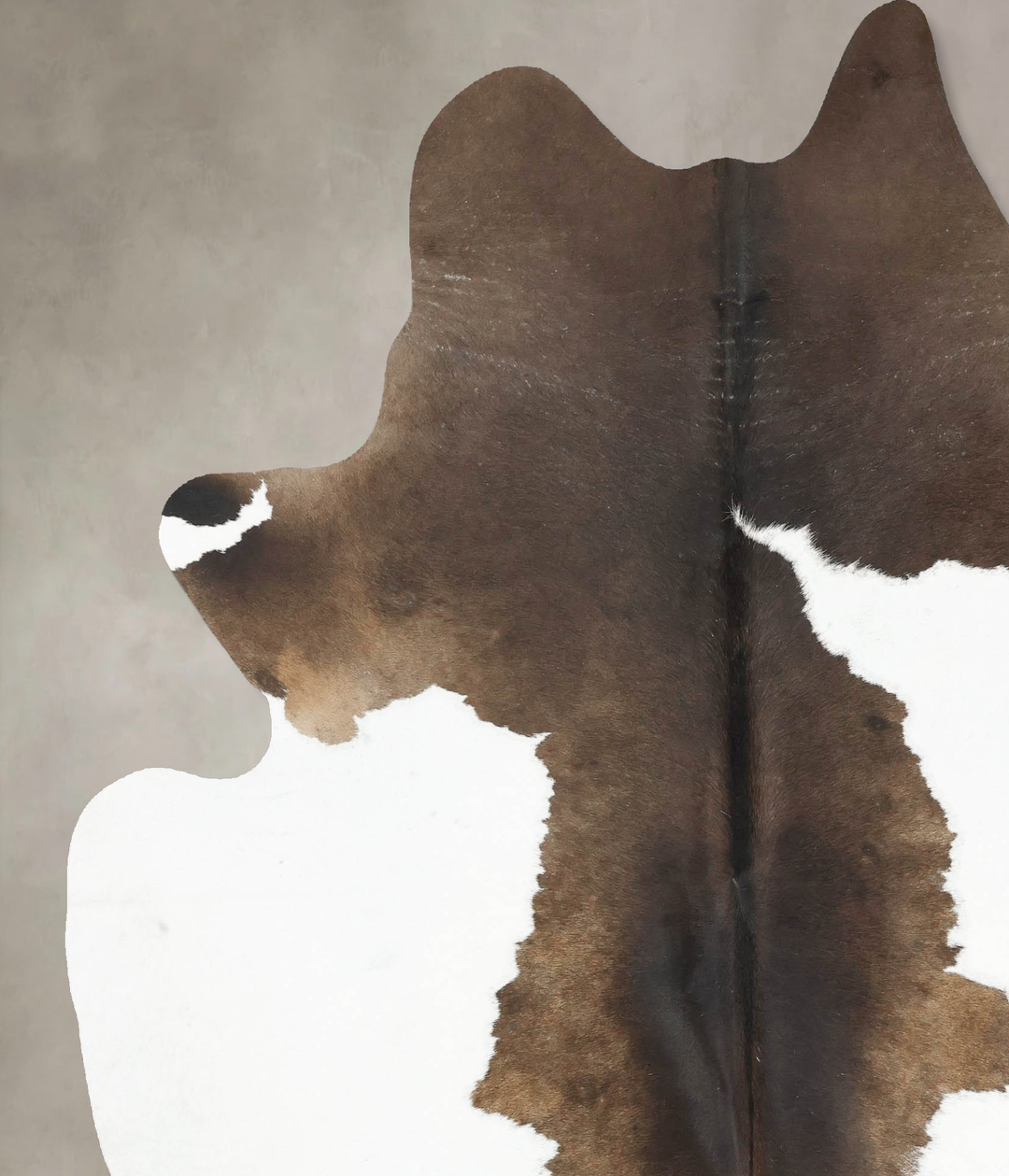 Chocolate and White XX-Large Brazilian Cowhide Rug 8'1"H x 6'6"W #B167