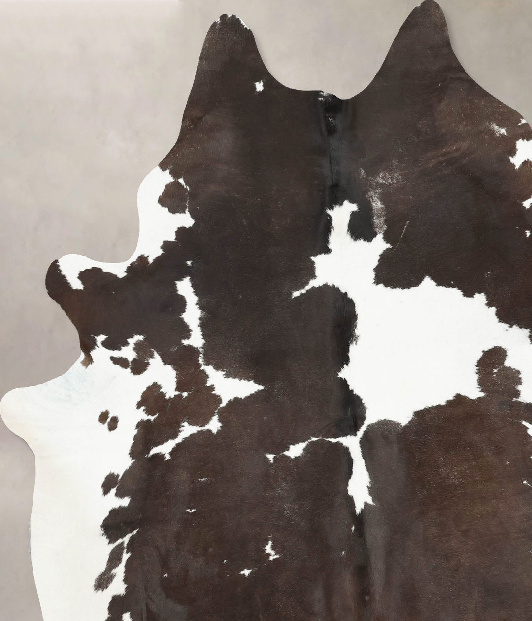 Chocolate and White XX-Large Brazilian Cowhide Rug 8'8"H x 7'2"W #B167